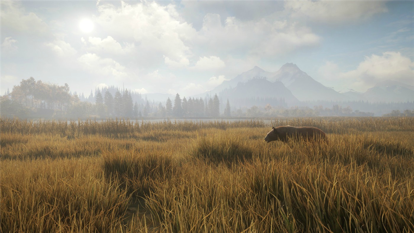 手机软件